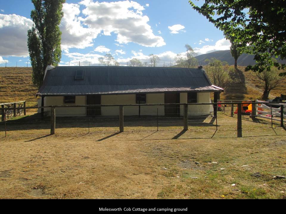 19.jpg (117406 bytes)